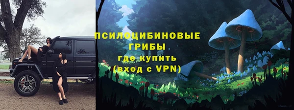 твердый Абаза